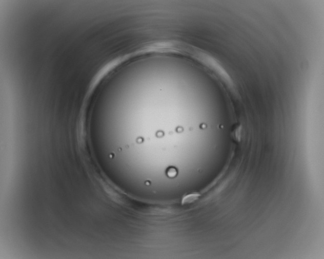 X0000113891328200910011315