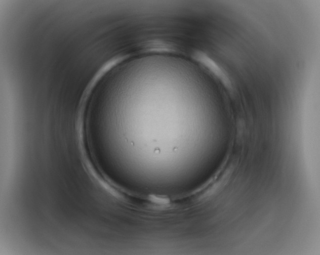 X0000113891331200910011315