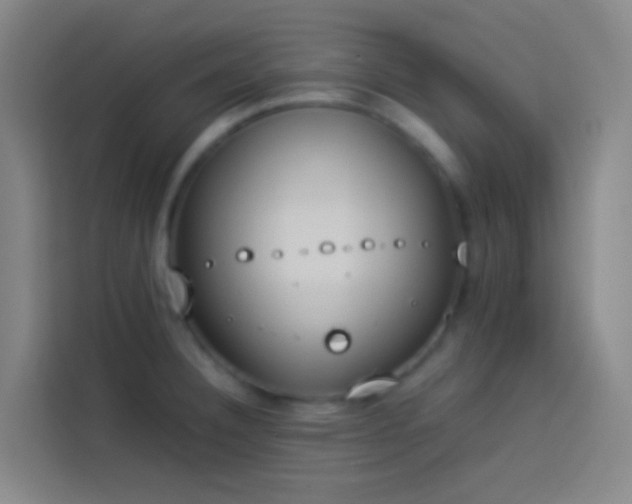 X0000113891332200910011315