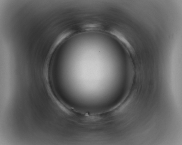 X0000113891333200910011315