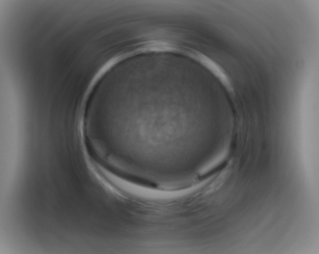 X0000113891334200910011315