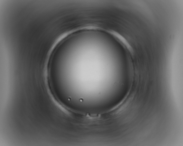 X0000113891335200910011315