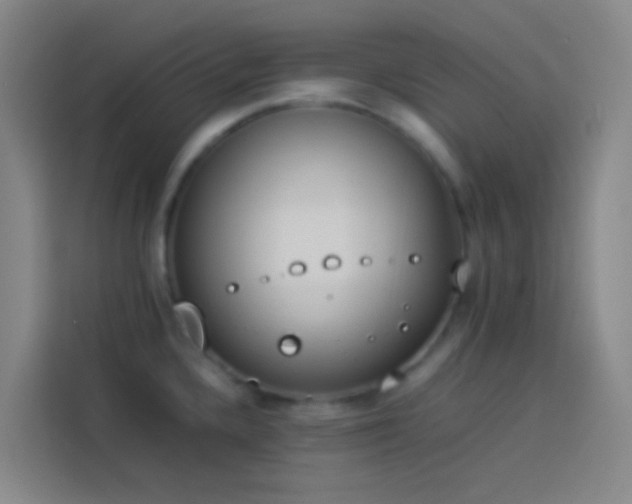 X0000113891336200910011315