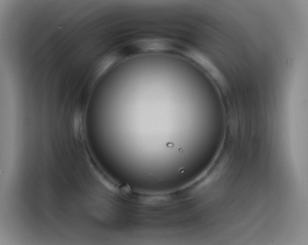 X0000113891337200910011315