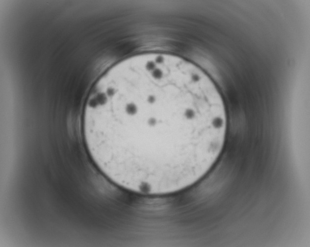 X0000113891338200910011315