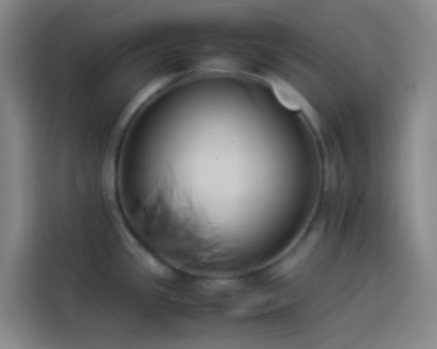 X0000113891341200910011315