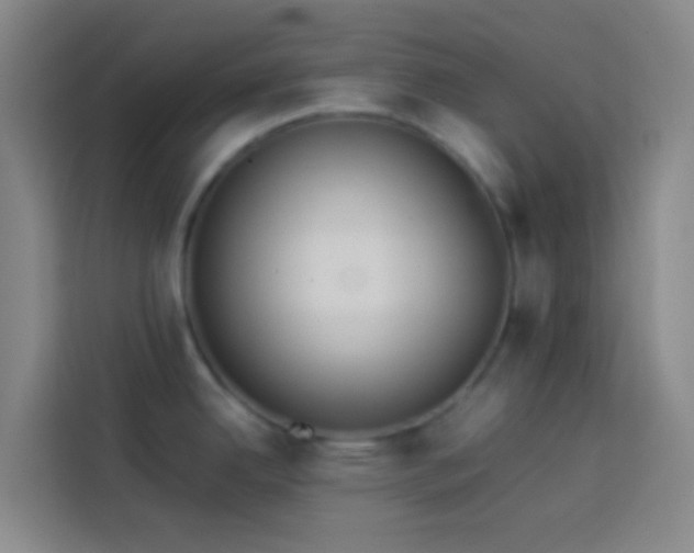 X0000113891342200910011315