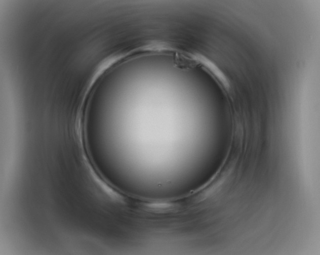 X0000113891343200910011315