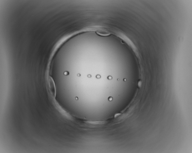 X0000113891344200910011315