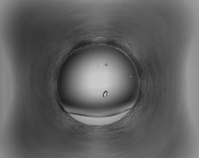 X0000113891345200910011314