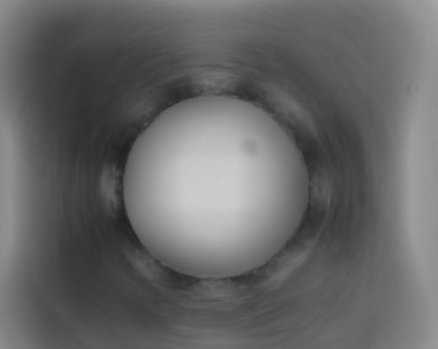 X0000113891346200910011314