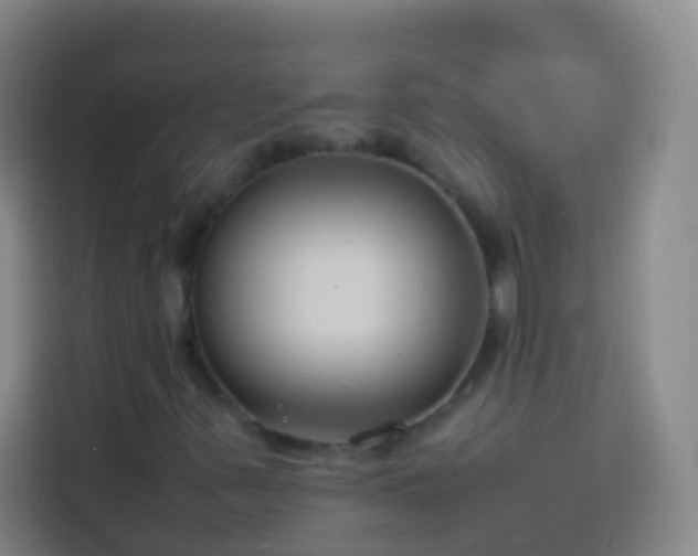 X0000113891347200910011314