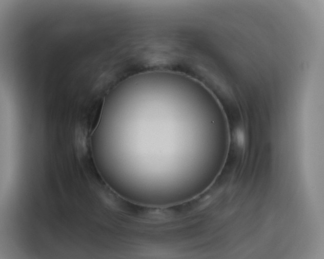 X0000113891348200910011314