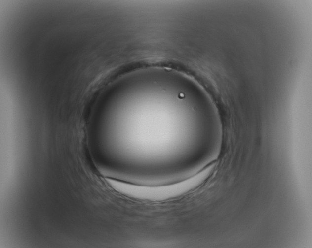 X0000113891349200910011314