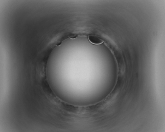 X0000113891350200910011314