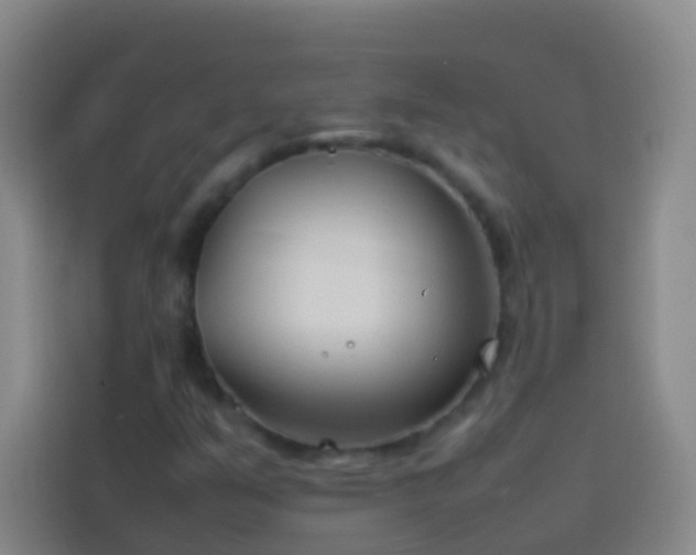 X0000113891351200910011314