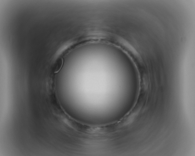 X0000113891352200910011314