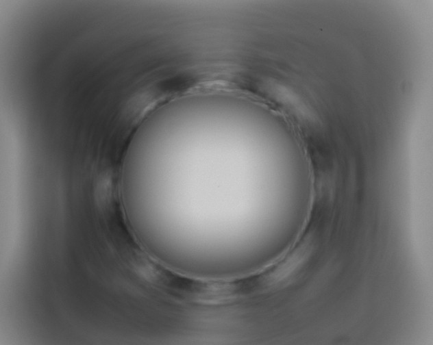 X0000113891353200910011314