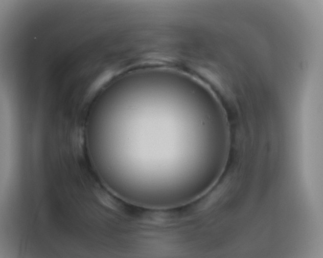 X0000113891355200910011314