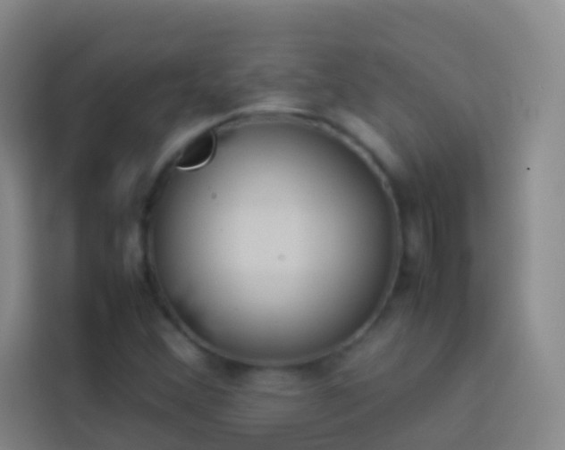 X0000113891356200910011314