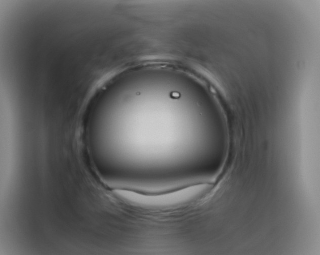 X0000113891357200910011314