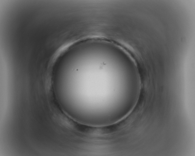 X0000113891359200910011314