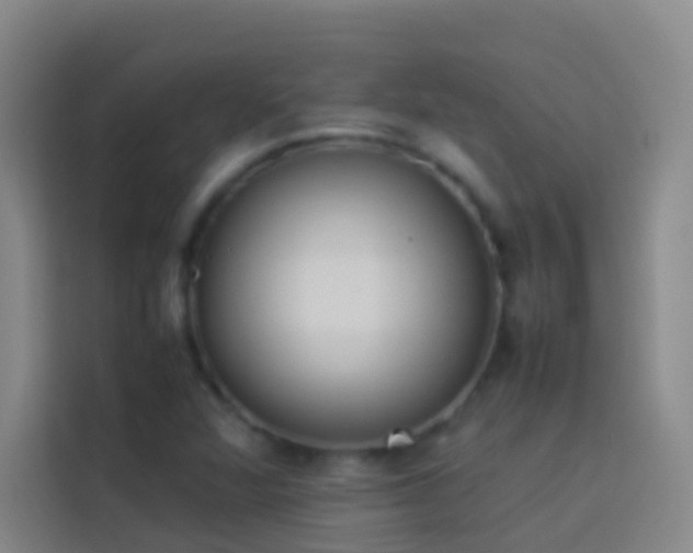 X0000113891360200910011314