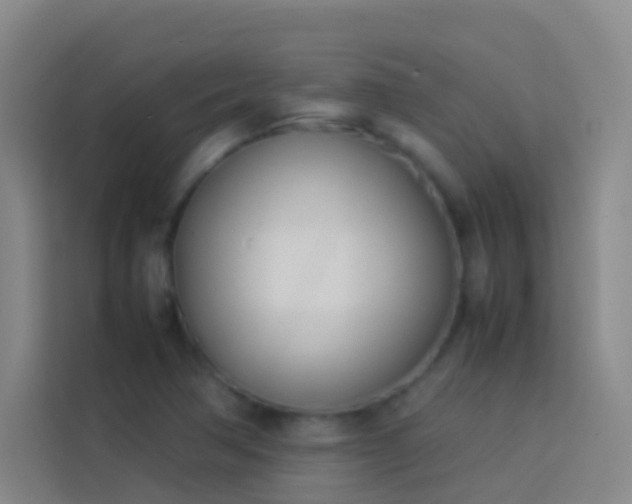 X0000113891362200910011314