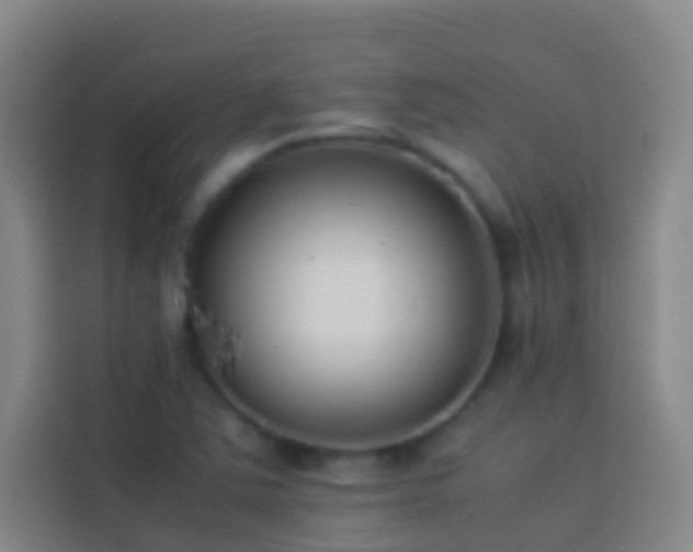 X0000113891363200910011314