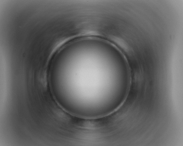 X0000113891364200910011314