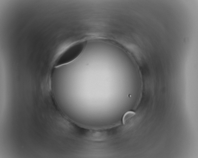 X0000113891365200910011314