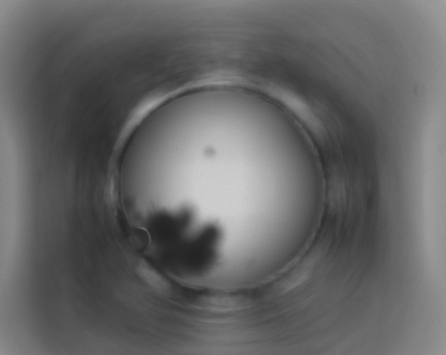 X0000113891366200910011314