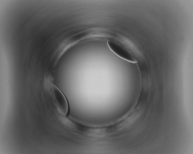 X0000113891369200910011314