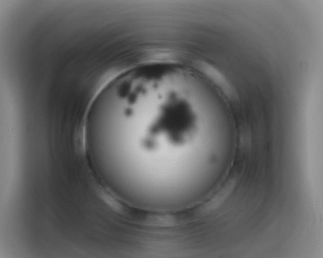 X0000113891370200910011314