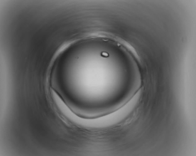 X0000113891373200910011314