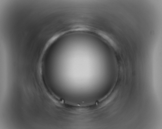 X0000113891375200910011314