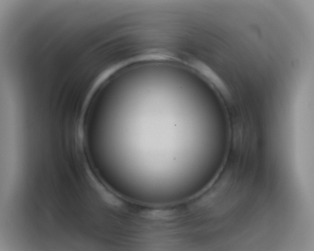 X0000113891380200910011314