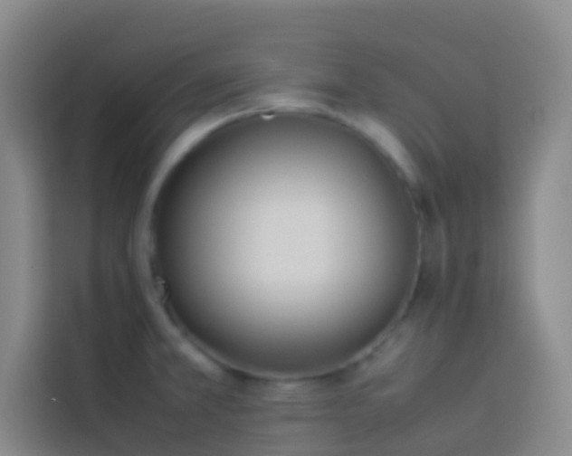 X0000113891381200910011314