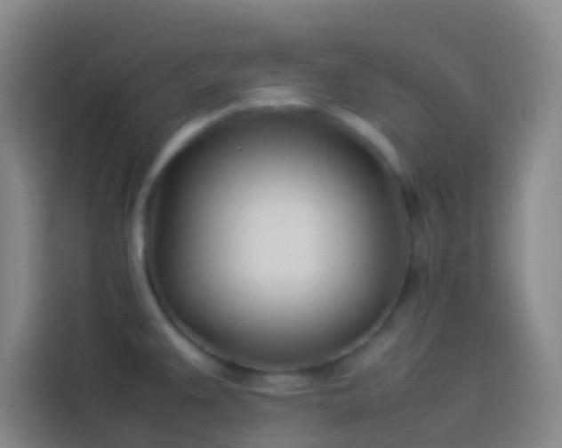 X0000113891383200910011314