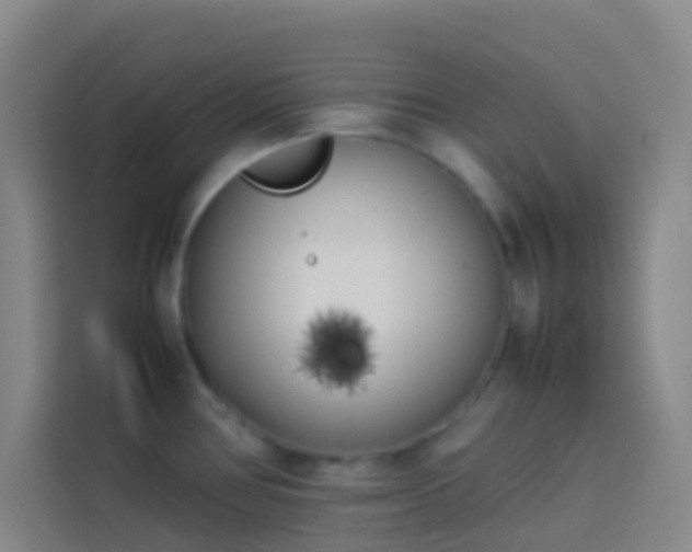 X0000113891386200910011314