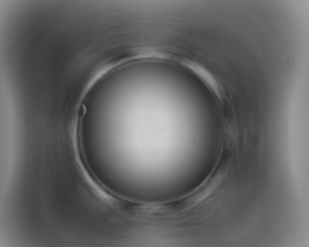 X0000113891391200910011314