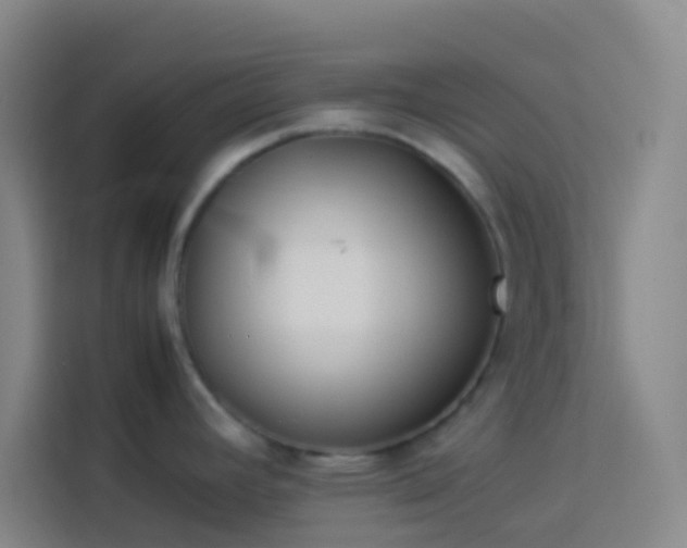 X0000113891392200910011314