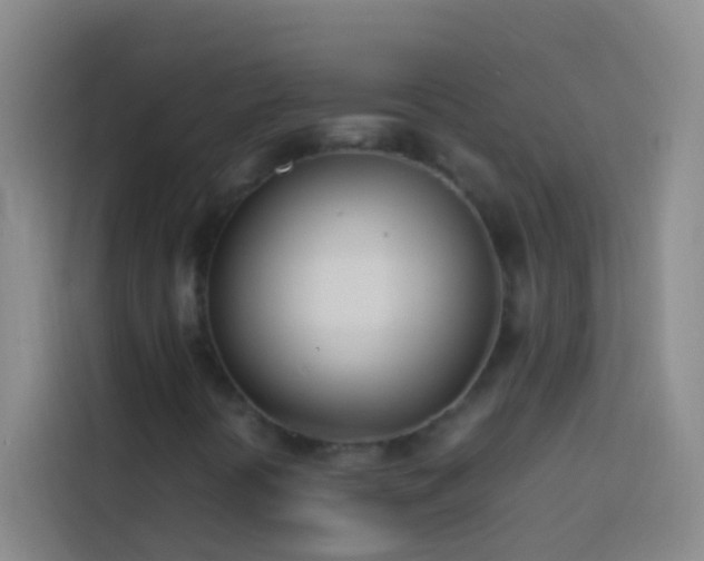 X0000113891394200910011313