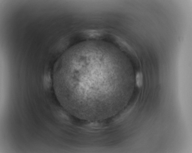 X0000113891395200910011313