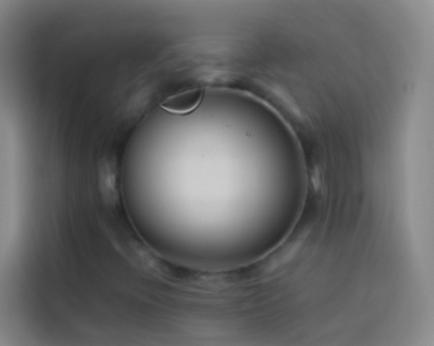 X0000113891396200910011313