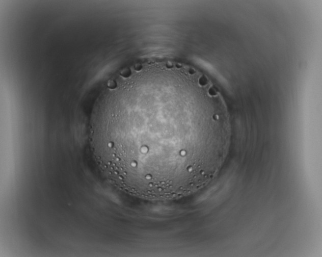 X0000113891399200910011313