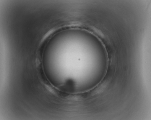 X0000113891400200910011313