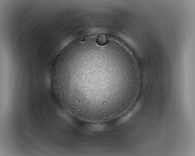 X0000113891401200910011313