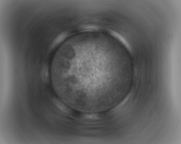 X0000113891403200910011313