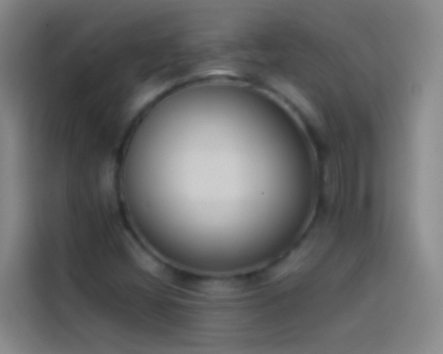 X0000113891404200910011313